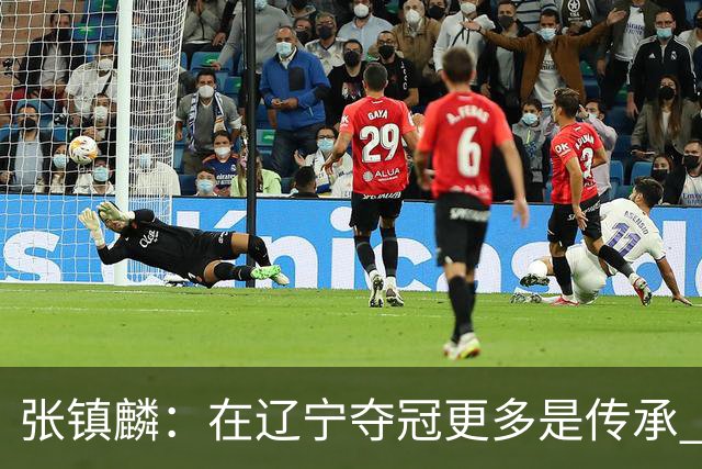 张镇麟：在辽宁夺冠更多是传承 在上海夺冠更像是实现自我价值